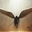Lord Azazel