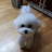 @루푸-q9i