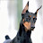 @MrLawrence0071's avatar