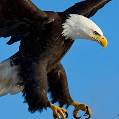 Phong Cách Sống TV