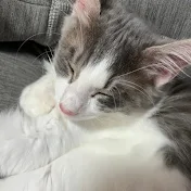 Ngtながと