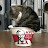 @mycattookmykfc1488