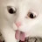 avatar of @what-the-meow-meow