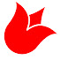 IGpPAEW_2qE-channel-avatar-FlowerSchool