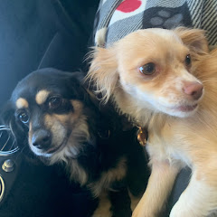 Thumbnail of related channel