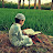 avatar of @user-oe8fx1rd2k