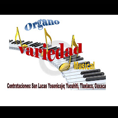 ORGANO VARIEDAD MUSICAL VARIEDAD MUSICAL