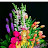 avatar of @sk-dh8tl