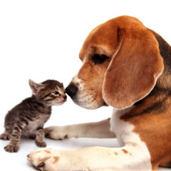 Nassau Humane Society