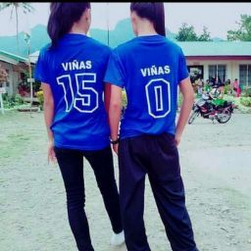 Viñas Twins