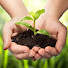 YhNL7u_CKEQ-channel-avatar-Reuse Project For Garden