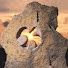 q7mlCE5JVgA-channel-avatar-Conocer la Historia Oculta