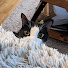 9CdidNrivSw-channel-avatar-Sherry S.