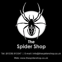 The Spider Shop net worth