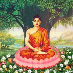Nhạc Việt Tuyển Chọn avatar