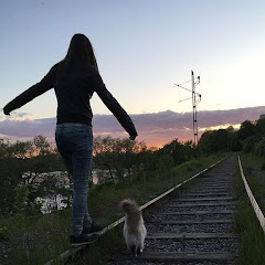 Stockholm Walks net worth