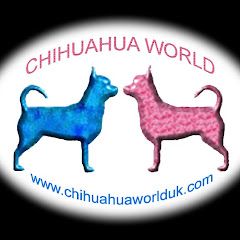 Логотип каналу chihuahuaworlduk