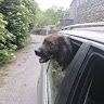 Автор