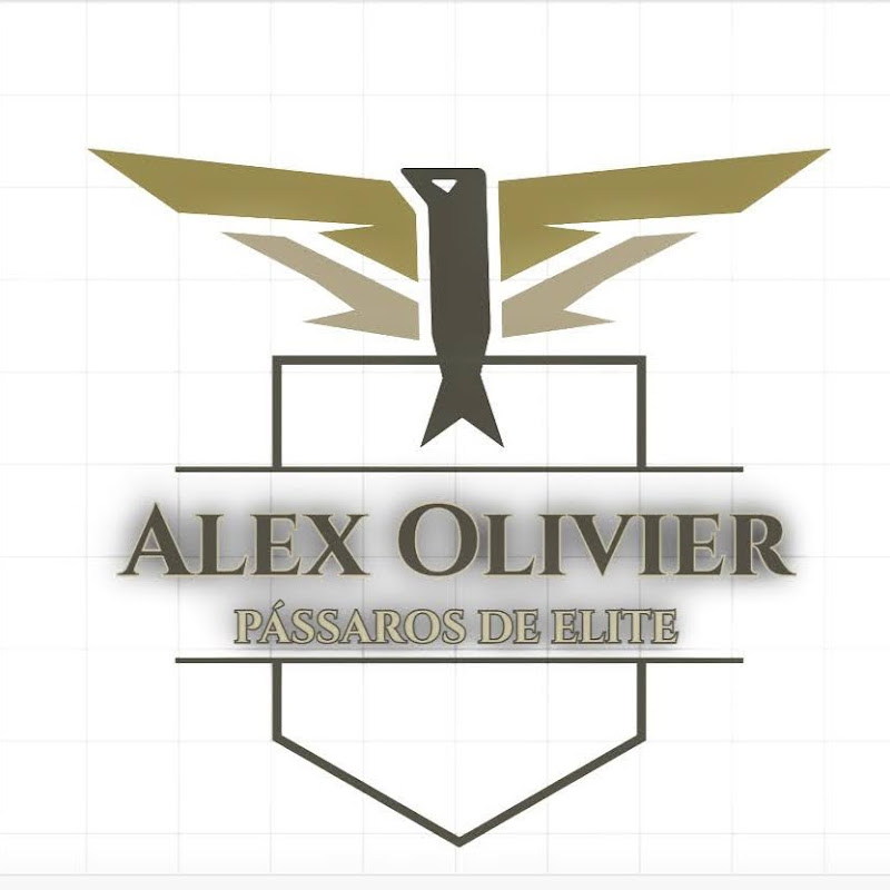 AlexOlivierTF
