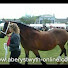 Commv6AUMk4-channel-avatar-aberystwythonline