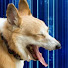 dGTwPBxfpRI-channel-avatar-valleychip