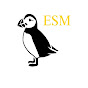Eternal Sublime Music Avatar