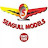 Seagull Models RC balsa airplane