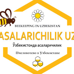 Asalarichilik. UzTV channel logo