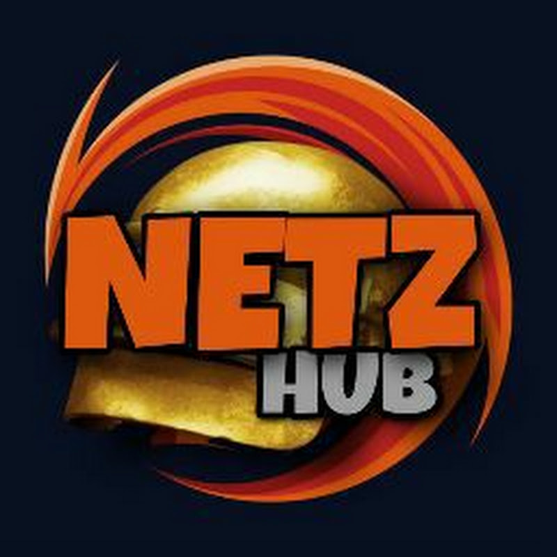 Netz Hub icon