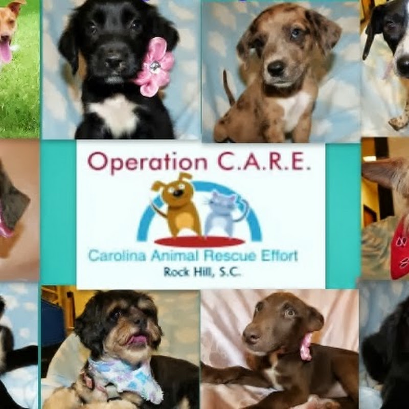 Operation C.A.R.E.