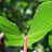 @sample1848 Avatar