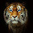 @nishantgarg25's avatar