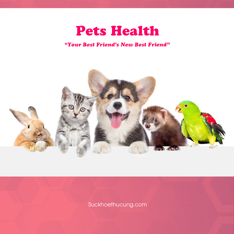Sức khỏe thú cưng