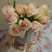 @downtonabbey3910