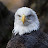 @mdketter's avatar