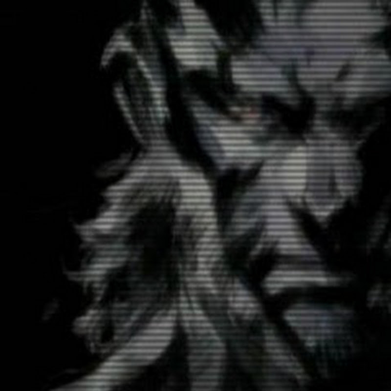 Snake Plays