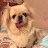 @boobee26 Avatar