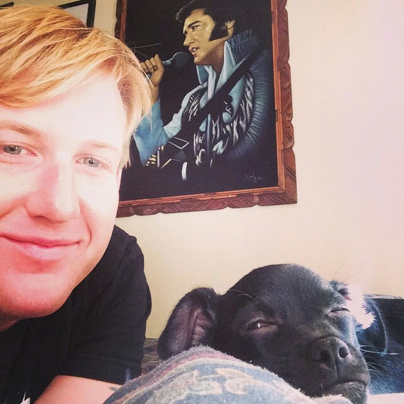 Daze with Jordan the Lion Logo