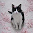 @평화s7p5h