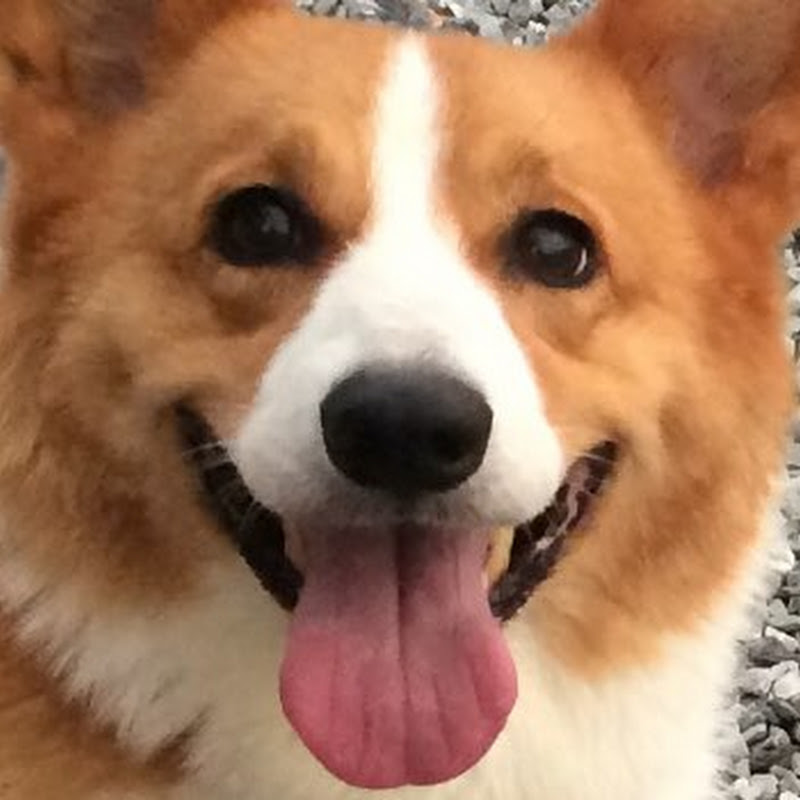 レオ蔵自動車.鈑金塗装.レストア.etc.