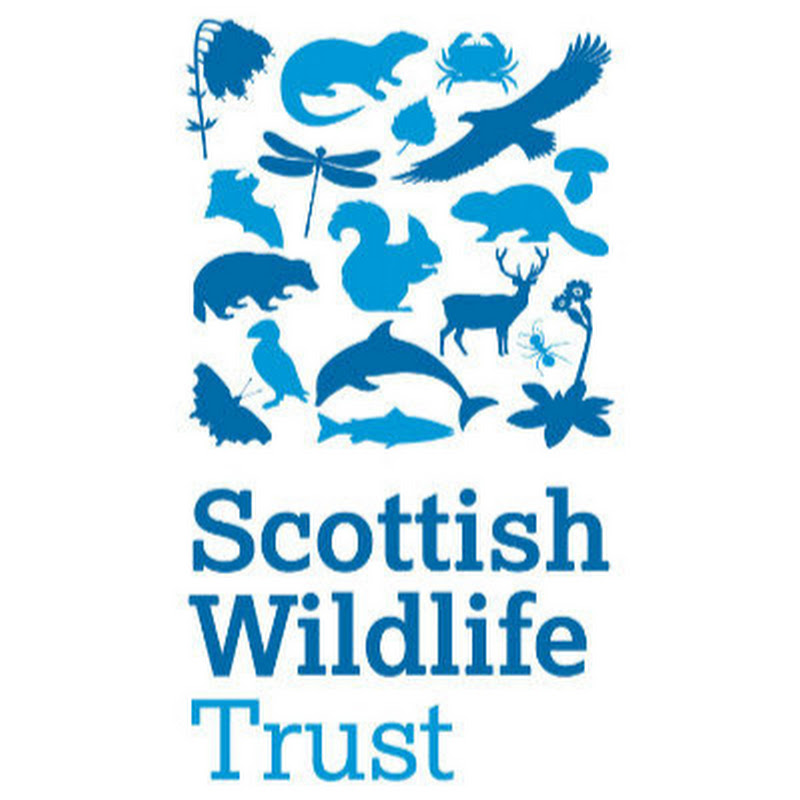 Scottish Wildlife Trust thumbnail