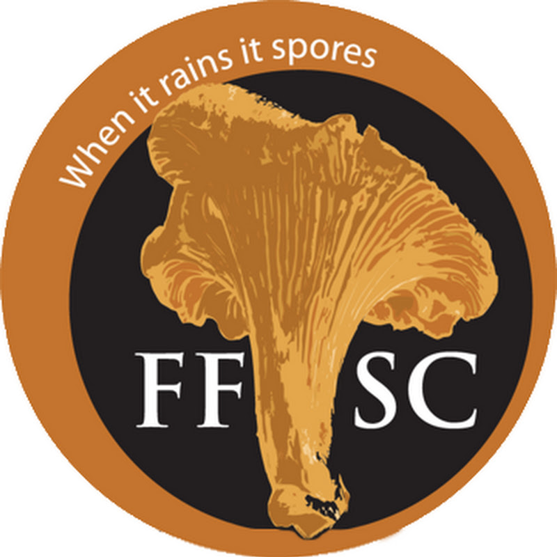 Fungus Federation of Santa Cruz Video icon