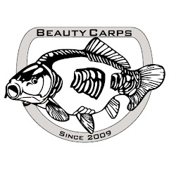 Beauty Carps