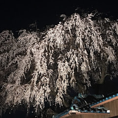 風太郎