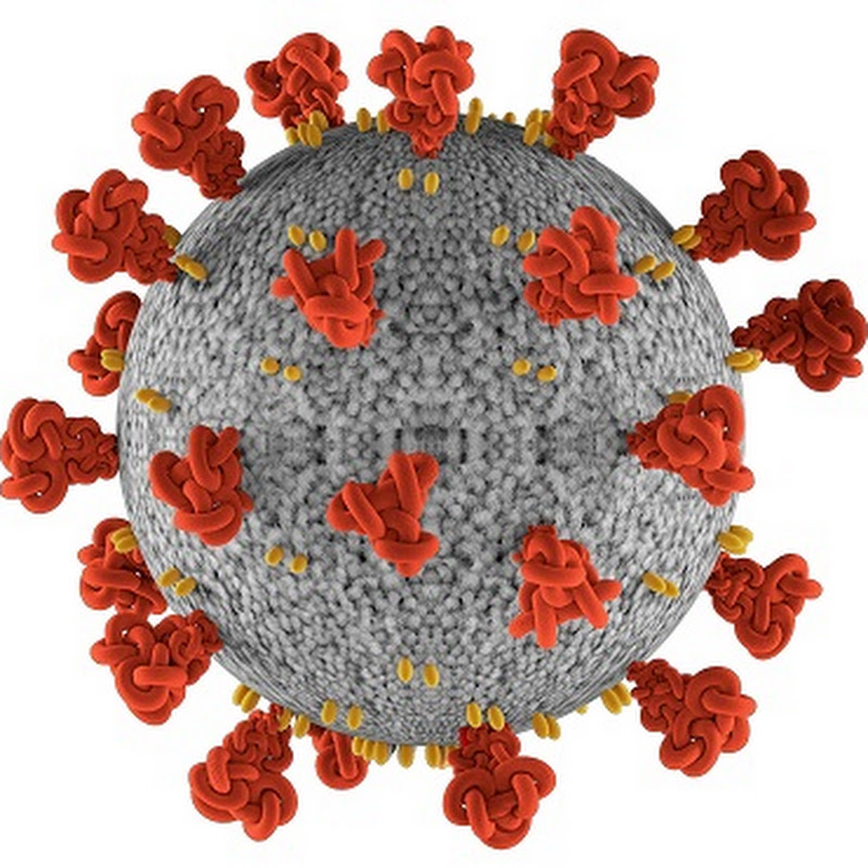 CoronaVirus COVID-19 TESTS