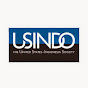 The U.S. - Indonesia Society (USINDO) logo