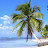 @oceanchaser Avatar