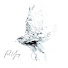 YrnvIBBZmgs-channel-avatar-Paul Young