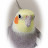 @MrBRL's avatar