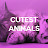 Cutest Animals